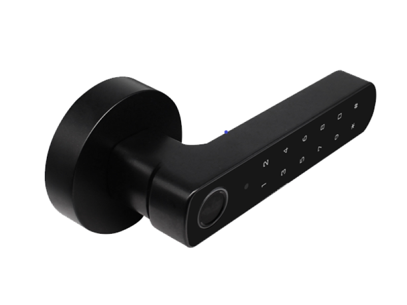 luchismart front view