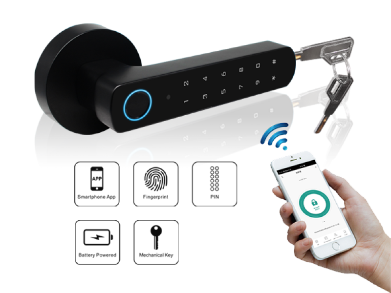 luchismart back view